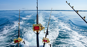 Side Boat Tour Professional Fishing Tour